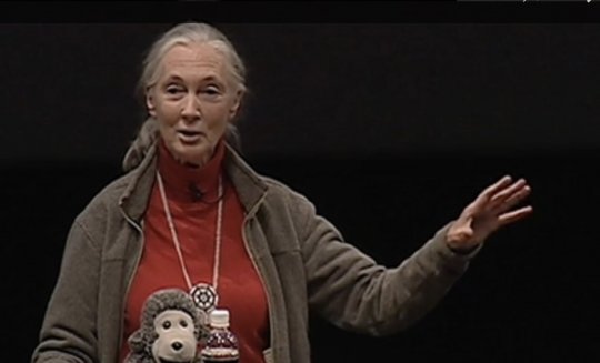 De inspiratie van een Grand Old Lady